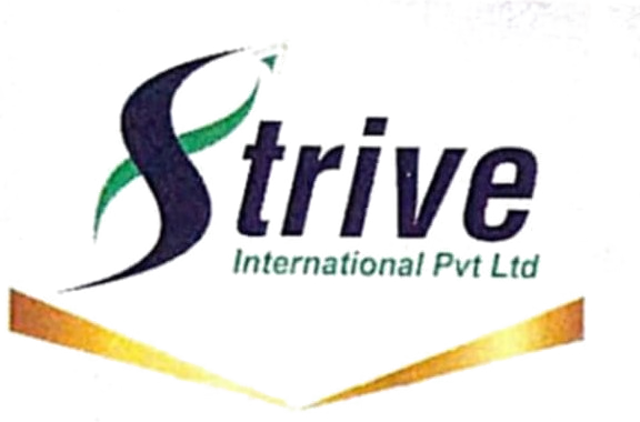 Strive International Pvt Ltd logo