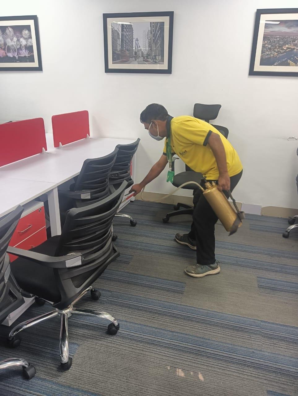 Strive technician carrying out pest treatment around office workstations